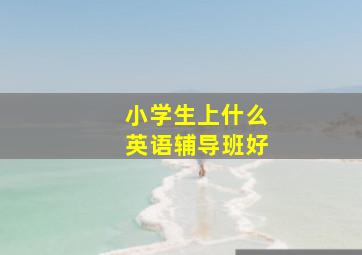 小学生上什么英语辅导班好