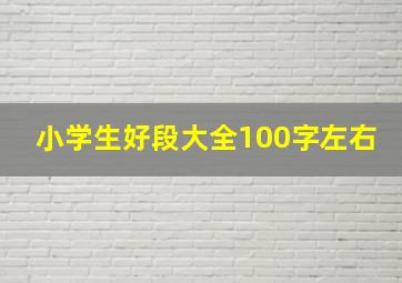 小学生好段大全100字左右