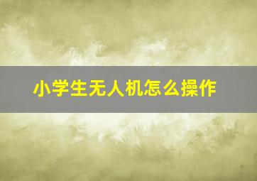 小学生无人机怎么操作