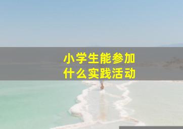 小学生能参加什么实践活动