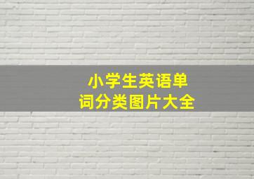 小学生英语单词分类图片大全