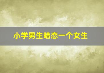 小学男生暗恋一个女生