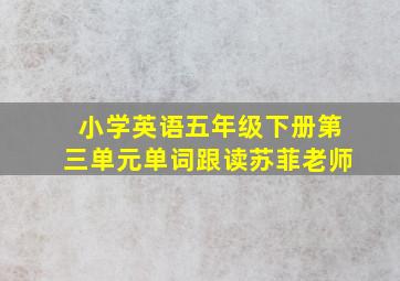 小学英语五年级下册第三单元单词跟读苏菲老师