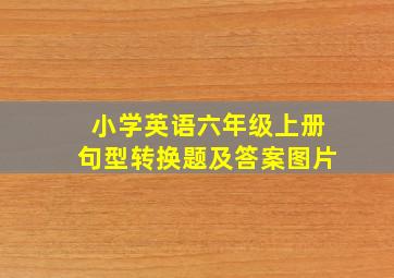 小学英语六年级上册句型转换题及答案图片