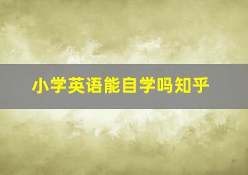 小学英语能自学吗知乎