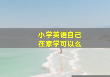 小学英语自己在家学可以么