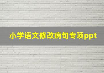 小学语文修改病句专项ppt