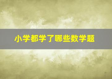 小学都学了哪些数学题