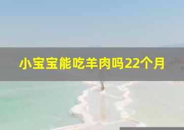 小宝宝能吃羊肉吗22个月