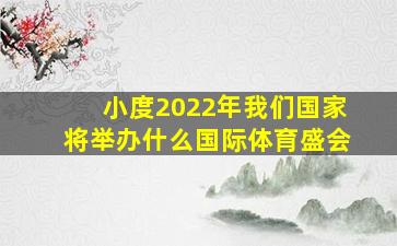 小度2022年我们国家将举办什么国际体育盛会