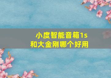 小度智能音箱1s和大金刚哪个好用