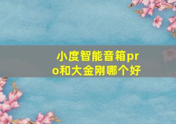 小度智能音箱pro和大金刚哪个好