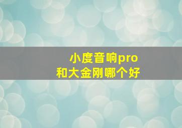 小度音响pro和大金刚哪个好