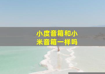 小度音箱和小米音箱一样吗