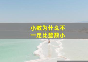 小数为什么不一定比整数小