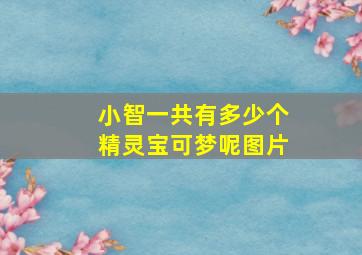 小智一共有多少个精灵宝可梦呢图片