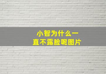 小智为什么一直不露脸呢图片