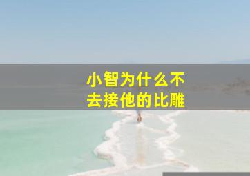 小智为什么不去接他的比雕