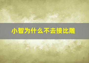 小智为什么不去接比雕