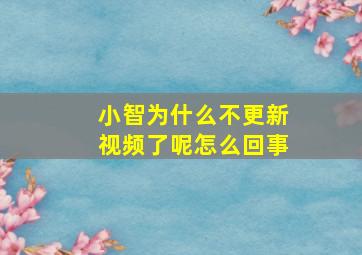 小智为什么不更新视频了呢怎么回事