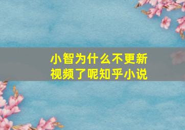 小智为什么不更新视频了呢知乎小说