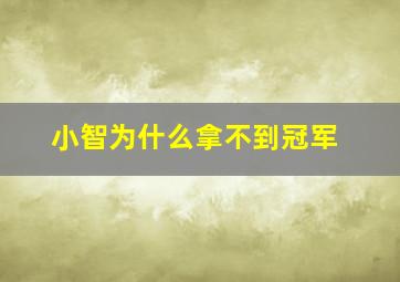 小智为什么拿不到冠军