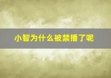 小智为什么被禁播了呢