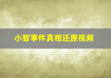 小智事件真相还原视频