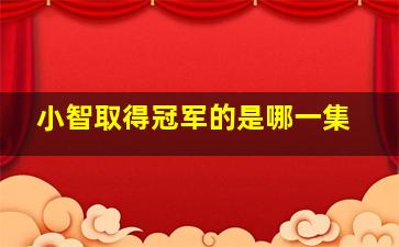 小智取得冠军的是哪一集