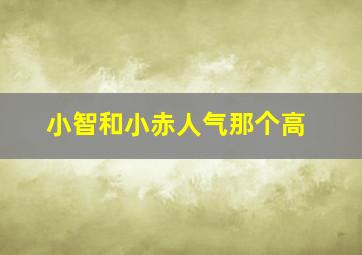 小智和小赤人气那个高