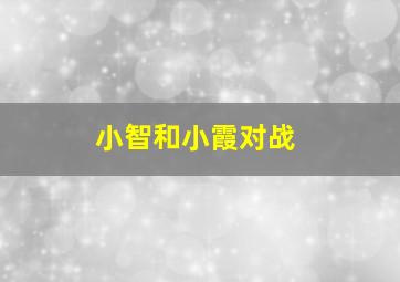 小智和小霞对战