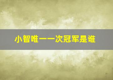 小智唯一一次冠军是谁