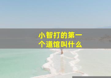 小智打的第一个道馆叫什么