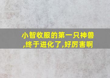 小智收服的第一只神兽,终于进化了,好厉害啊