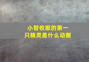 小智收服的第一只精灵是什么动画