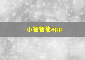 小智智能app