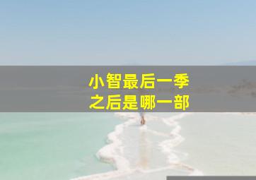 小智最后一季之后是哪一部