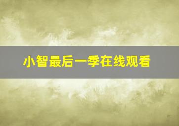 小智最后一季在线观看