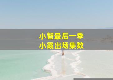 小智最后一季小霞出场集数