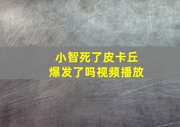 小智死了皮卡丘爆发了吗视频播放