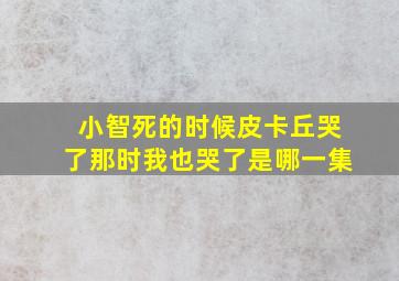 小智死的时候皮卡丘哭了那时我也哭了是哪一集