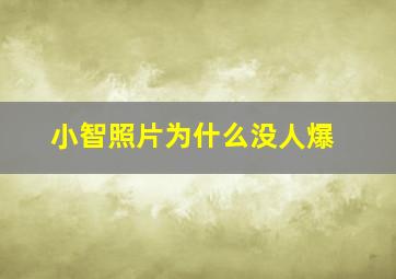 小智照片为什么没人爆