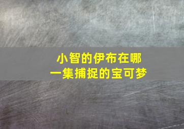 小智的伊布在哪一集捕捉的宝可梦