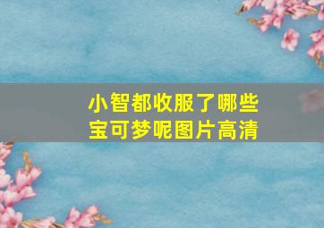 小智都收服了哪些宝可梦呢图片高清