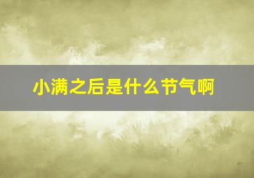 小满之后是什么节气啊