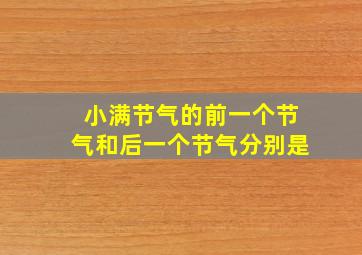 小满节气的前一个节气和后一个节气分别是