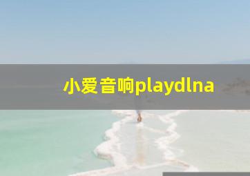 小爱音响playdlna