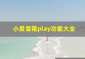 小爱音箱play功能大全