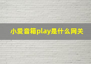 小爱音箱play是什么网关