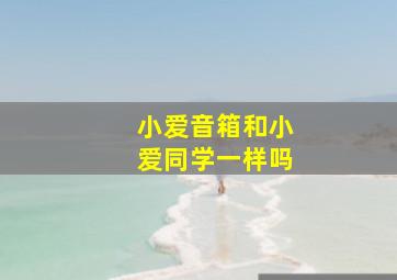 小爱音箱和小爱同学一样吗